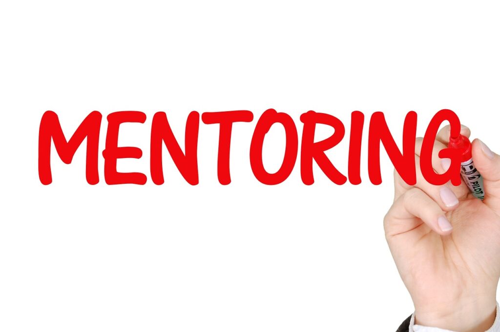 Mentorluk ve Tersine Mentorluğun Kariyer Gelişimine Katkısı